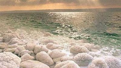 5 حقائق مدهشة عن 