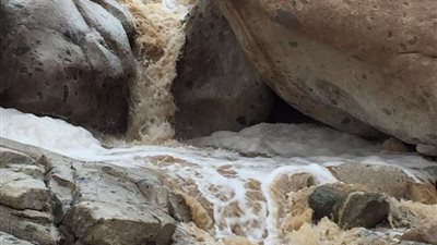 هطول أمطار غزيرة إلى متوسطة على 