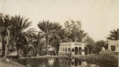 عيون موسى قبل أن تعميها الطحالب وأشجار البوص