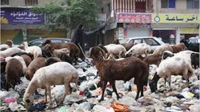 خبيرة أغذية تحذر من تناول 