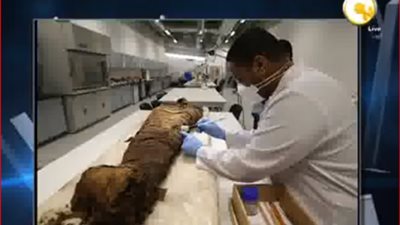 مسؤول بالمتحف المصري الكبير: تعاونا مع خبراء من اليابان لترميم مركب خوفو (فيديو)