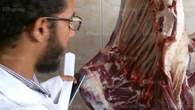 إعدام نصف طن أغذية ومخبوزات في حملة تموينية بالدقهلية (صور)