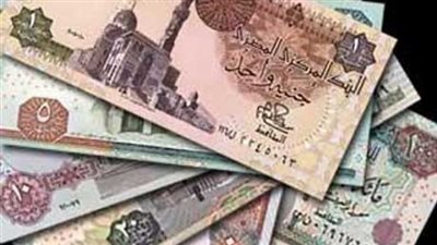 صحيفة إماراتية: مصر لم تتخذ أي إجراءات لخفض قيمة الجنيه 