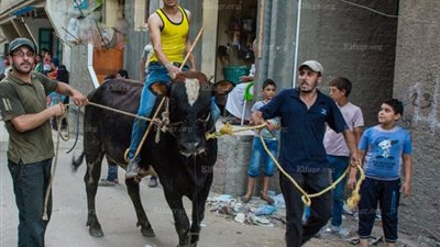 مظاهر احتفال مدينة 