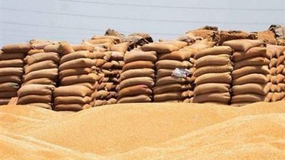 أول تعليق من رومانيا على رفض تصدير شحنة القمح إلى مصر 