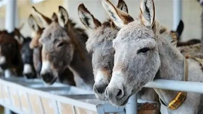 تعرف على 6 طرق لتمييز 