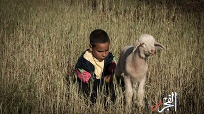 مهرجان لندن السينمائي يعرض 16 فيلمًا عربيًا من 9 دول أكتوبر المقبل