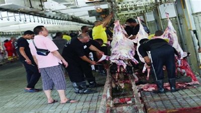 أمانة العاصمة المقدسة تستنفر أعمالها لنظافة المجازر بالمعيصم