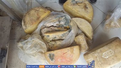 تموين دمياط يضبط 20 كيلو دجاج ولحوم مفرومة مجهولة المصدر(صور)