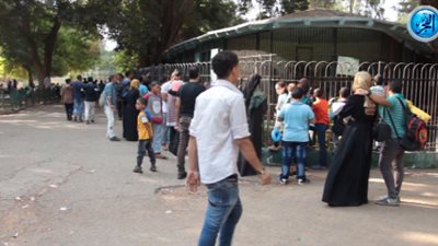 مظاهر الاحتفال بعيد الأضحى في حديقة حيوان الجيزة (فيديو)
