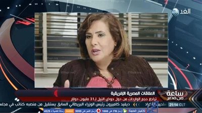 أماني الطويل: انخفاض حجم الواردات بين مصر ودول حوض النيل لـ 3 مليون دولار  