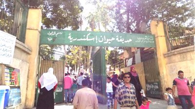 ارتفاع أسعار التذاكر يفسد فرحة العيد في حديقة حيوان الإسكندرية (فيديو)