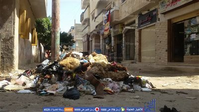 مخلفات الأضاحي تفسد فرحة العيد بالبحيرة.. (صور)