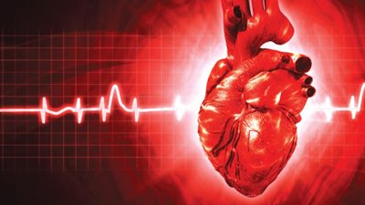 هل تعلم أن القلب يخفق 72 مرة في الدقيقة؟