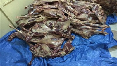 ضبط أكثر من 280 ذبيحة فاسدة بمكة