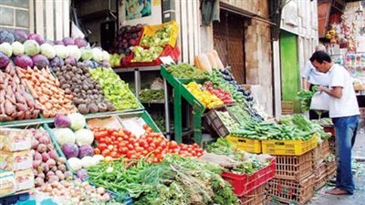 روسيا: وقف واردات الفاكهة والخضروات المصرية اعتبارًا من 22 سبتمبر