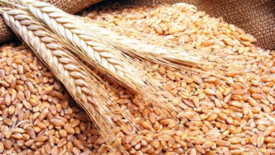 وزير التموين: احتياطي القمح يكفي لـ 4 أشهر