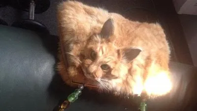 1400 دولار سعر حقيبة يد مصنوعة من 