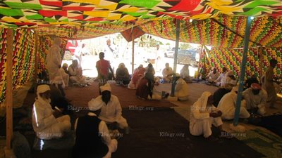 حماة البيئة  يشاركون 3 زيجات في في محمية سيوة 