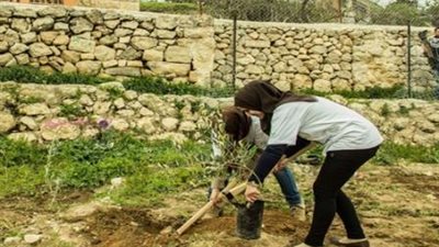 رئيس أمناء مؤسسة من أجل مصر: 