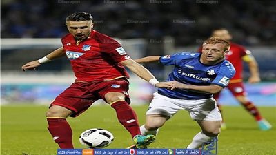 هوفنهايم يجدد تعاقده مع إرمين بيساكسيتش حتى 2020