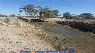 بوار عدد من الأراضي الرزاعية بالفيوم بسبب جفاف بحر الجرجبة بمركز أطسا 