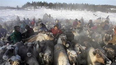 إنقاذ طفل قضى 3 أيام في غابة سيبيرية بعد أن ضل طريقه!