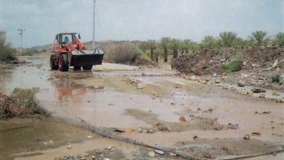 أمانة الطائف تجفّف 85 مستنقعاً مائياً وتدعم رش المزارع