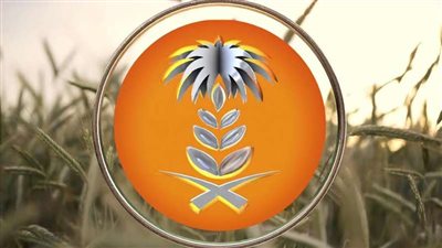 هبوط أسعار الشعير بالأسواق العالمية يجدد مطالب المربين بالتخفيض