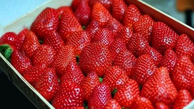 حماية المستهلك تؤكد أهمية تشديد الرقابة على الفراولة المصرية