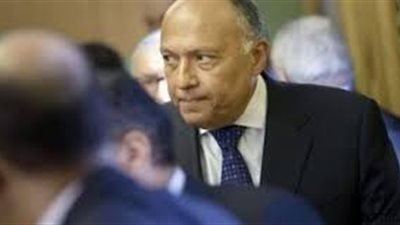 خبير عسكري: مشاركة وزير الخارجية المصري بجنازة 