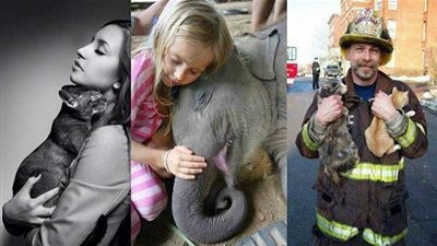 الطالع الفلكى السّبت 1/10/2016 .. اليَد الذّهَبِيّة !