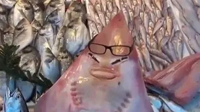 قرش نادر بملامح بشرية في أحد أسواق تركيا (فيديو وصور)