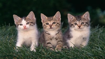 4 معلومات عامة شيقة