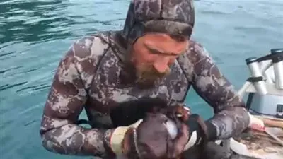 مغامر نيوزيلاندي يتناول أخطبوطا حيآ في لحظة مثيرة للاشمئزاز (فيديو)