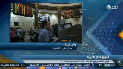 محلل مالي يوضح أضرار تعويم الجنيه وفرص استغلاله  