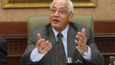 علي الدين هلال: القرارات في مصر تُقر بـ