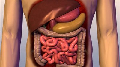 أورام القناة الهضمية تعد من أخطر أنواع السرطانات
