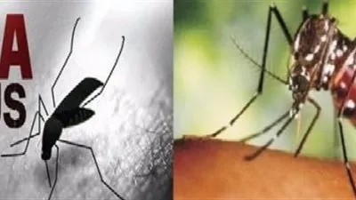 أدلة جديدة على أن فيروس زيكا يسبب ضررا أكبر من مرض صغر حجم الرأس