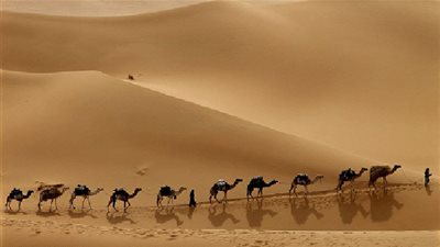 الهجرة النبوية.. ملامح وسمات