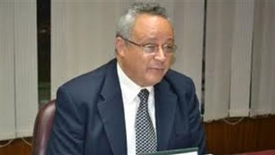 استاذ علم اجتماع سياسي: الجينات الوطنية فطرية عند المصريين 