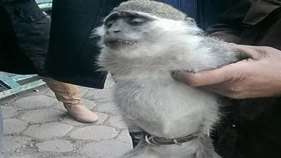 طواريء بالمقطم بسبب 