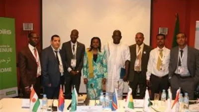 مكتب الشباب الإفريقي يستعرض أنشطة وزارة الشباب والرياضة على المستوى الإفريقي