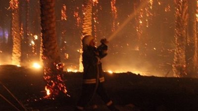 إحتراق 3 منازل ونفوق 3 رؤوس ماشية بقرية العتمانية بأسيوط