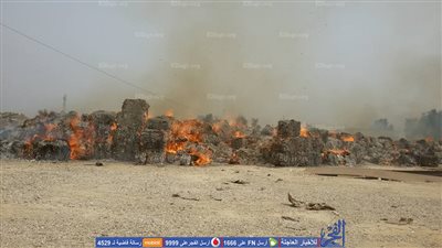 الحماية المدنية بالقليوبية:10سيارات إطفاء و5سيارات إسعاف للسيطرة على حريق قليوب (صور)