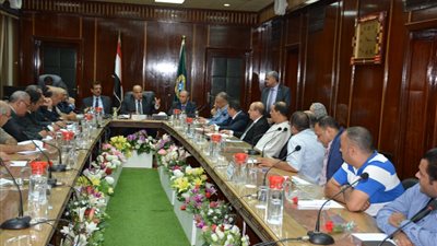 محافظ الدقهلية: الدولة توفر السلع واللصوص يسرقوها.. و