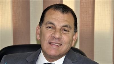 نائب عن احتفالية البرلمان: مصر عادت بقوة إلى إفريقيا بعد غياب أكثر من 3 سنوات