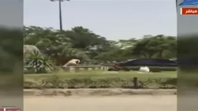 شاهد.. 3 شباب يعومون في نافورة بأحد الميادين بـ