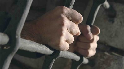 حبس جزار عام لاتهامه بذبح كلاب وبيعها للمواطنين