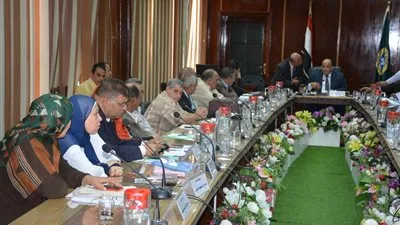 محافظ الدقهلية لـ